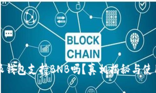比特派钱包支持BNB吗？真相揭秘与使用指南