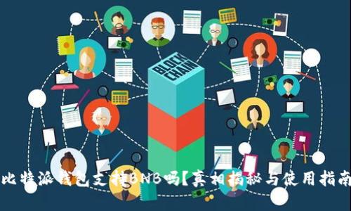比特派钱包支持BNB吗？真相揭秘与使用指南