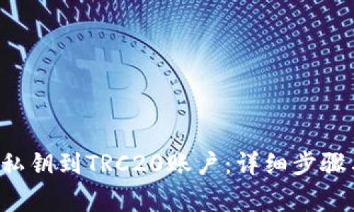 如何恢复B特派私钥到TRC20账户：详细步骤与常见问题解答