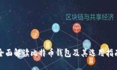 全面解读比特币钱包及其
