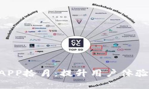 全面解析B特派APP拾月：提升用户体验的移动商务平台