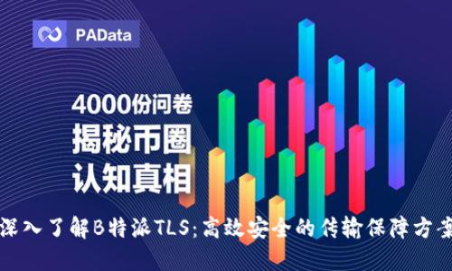 深入了解B特派TLS：高效安全的传输保障方案
