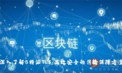 深入了解B特派TLS：高效安