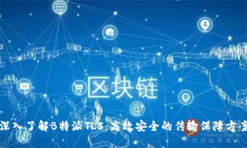 深入了解B特派TLS：高效安全的传输保障方案
