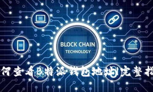 如何查看B特派钱包地址|完整指南