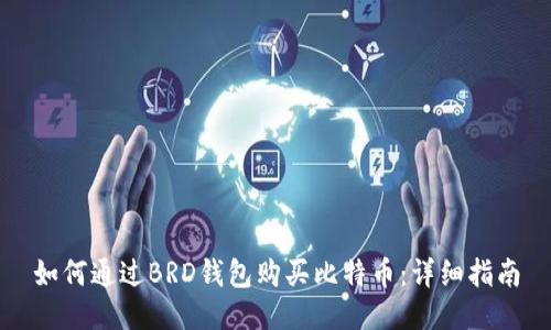 如何通过BRD钱包购买比特币：详细指南