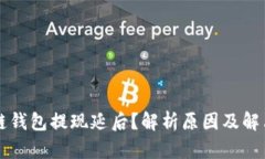 区块链钱包提现延后？解