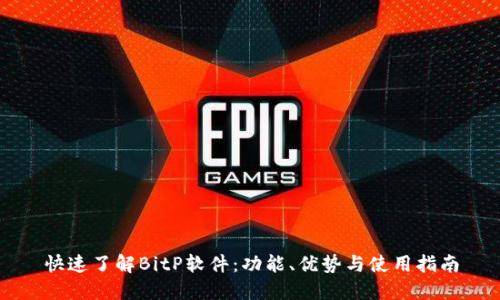 快速了解BitP软件：功能、优势与使用指南