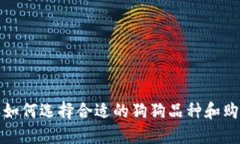 2023年如何选择合适的狗狗