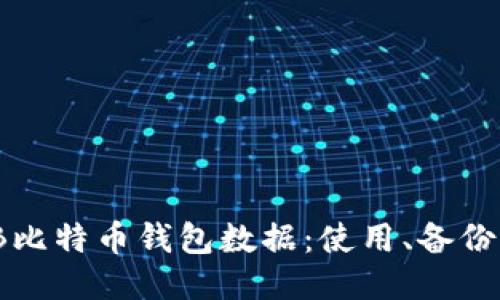 如何管理153GB比特币钱包数据：使用、备份与安全性全攻略