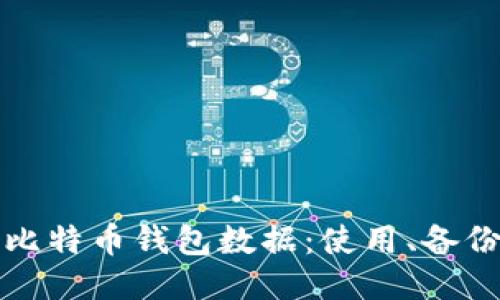 如何管理153GB比特币钱包数据：使用、备份与安全性全攻略