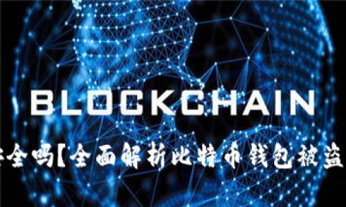 比特币钱包安全吗？全面解析比特币钱包被盗的风险与防范