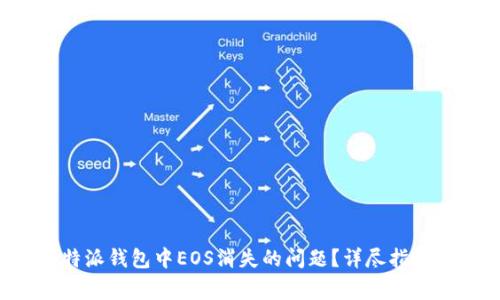 如何解决B特派钱包中EOS消失的问题？详尽指南与常见问答