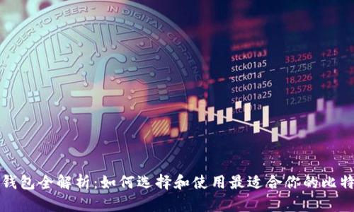 比特币钱包全解析：如何选择和使用最适合你的比特币钱包