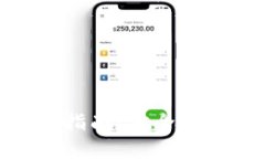 Bitpie钱包iOS下载指南：安