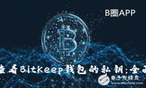 如何查看BitKeep钱包的私钥：全面指南