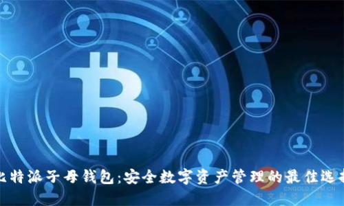 比特派子母钱包：安全数字资产管理的最佳选择