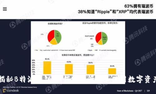 揭秘B特派私钥：如何安全管理和使用数字资产