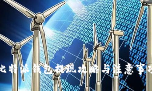比特派钱包提现攻略与注意事项