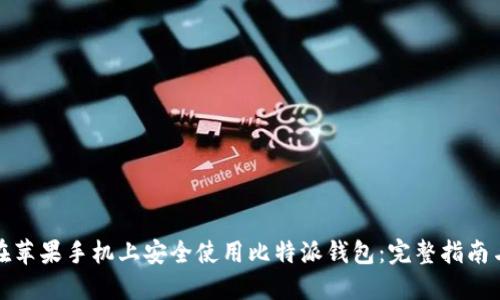 如何在苹果手机上安全使用比特派钱包：完整指南与技巧