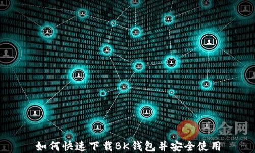 
如何快速下载BK钱包并安全使用