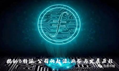 揭秘B特派：公司的起源、业务与发展历程