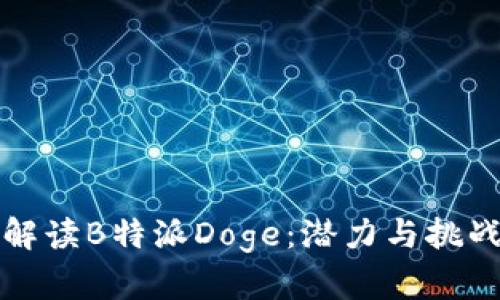 全面解读B特派Doge：潜力与挑战分析