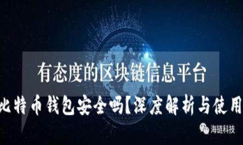 U盘比特币钱包安全吗？深度解析与使用指南