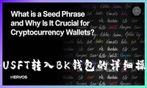 如何将USFT转入BK钱包的详细操作指南