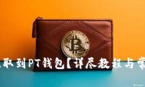 USDT如何提取到PT钱包？详尽教程与常见问题解答