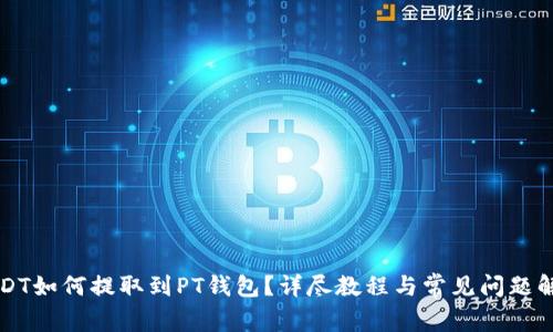 USDT如何提取到PT钱包？详尽教程与常见问题解答
