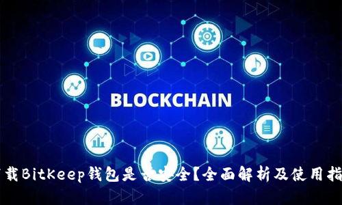 下载BitKeep钱包是否安全？全面解析及使用指南