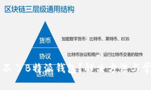 为什么下载不了B特派钱包？解决方法与常见问题解析
