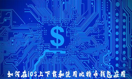 
如何在iOS上下载和使用比特币钱包应用