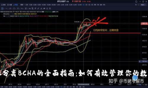 比特派分离BCHA的全面指南：如何有效管理你的数字资产