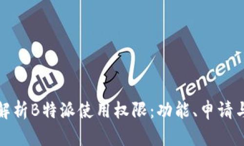 全面解析B特派使用权限：功能、申请与管理
