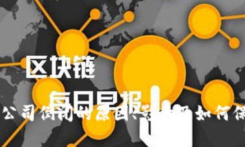 虚拟币钱包公司倒闭的原因、影响及如何保护个人资产