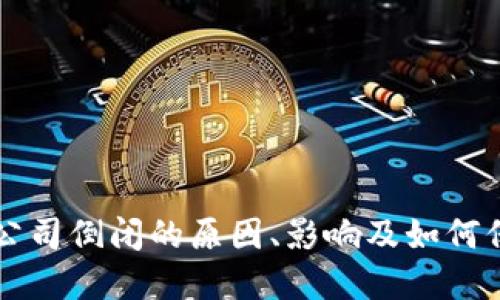 虚拟币钱包公司倒闭的原因、影响及如何保护个人资产