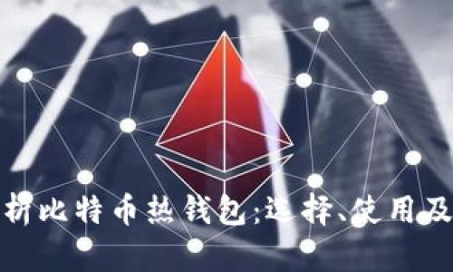全面解析比特币热钱包：选择、使用及安全性