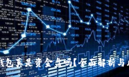 :
区块链钱包真是资金盘吗？全面解析与风险提示