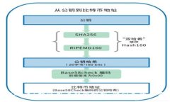 2023年b特派用户群体分析：