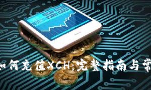 B特派钱包如何充值XCH：完整指南与常见问题解答
