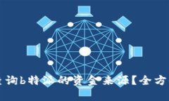 如何查询b特派的资金来源