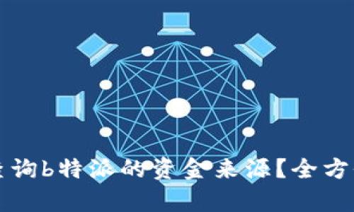 如何查询b特派的资金来源？全方位解析