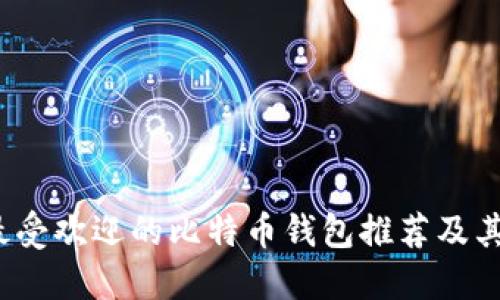 2023年最受欢迎的比特币钱包推荐及其使用指南