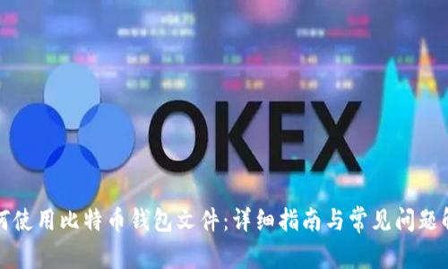 如何使用比特币钱包文件：详细指南与常见问题解答