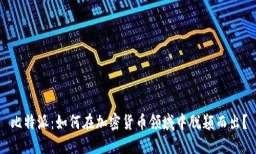 比特派：如何在加密货币领域中脱颖而出？