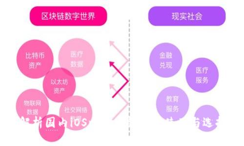 全面解析国内iOS比特币钱包的使用与选择指南