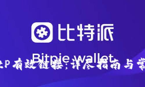 如何设置BitP有效链接：详尽指南与常见问题解答