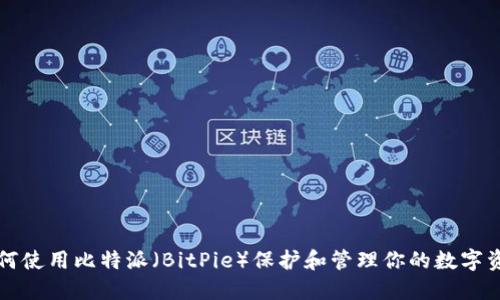 如何使用比特派（BitPie）保护和管理你的数字资产
